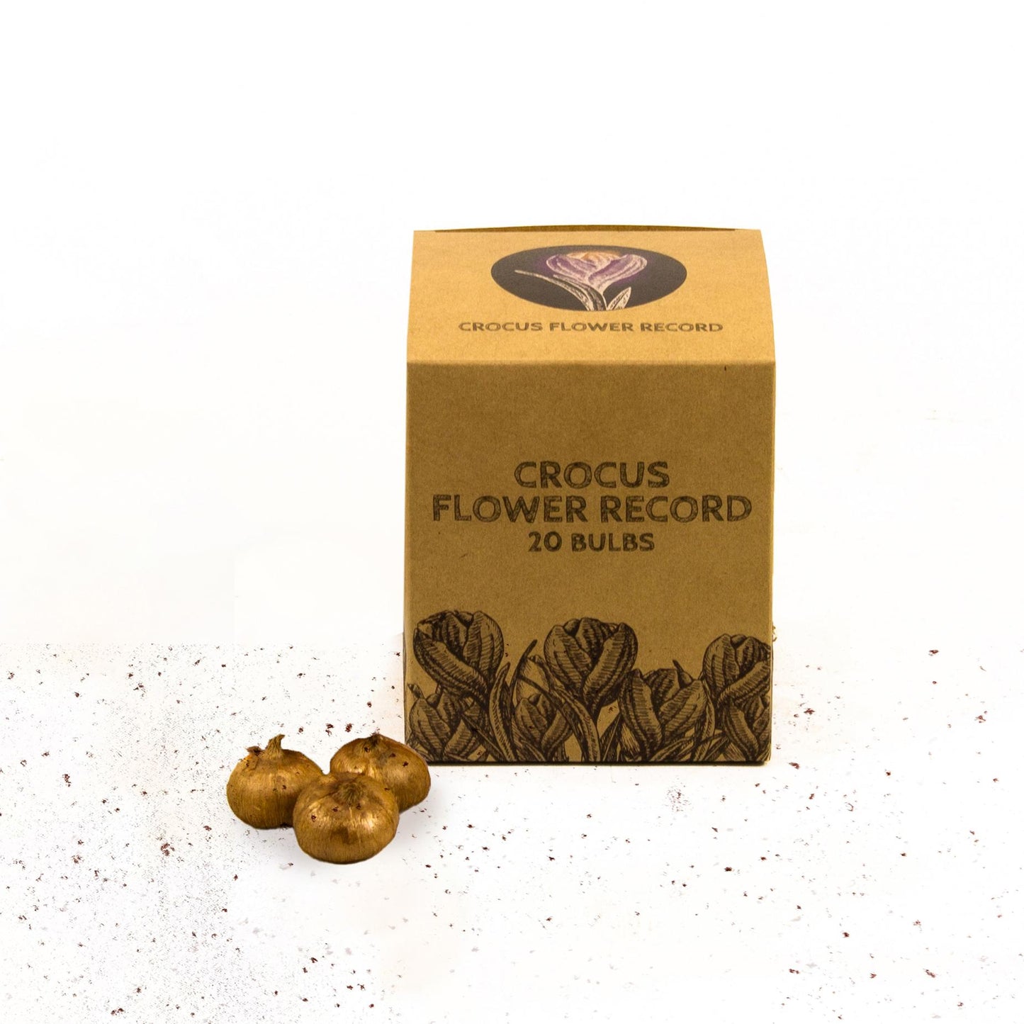 Flowerbulbs Amsterdam - Flower Record - 20 flower bulbs - Size 8+