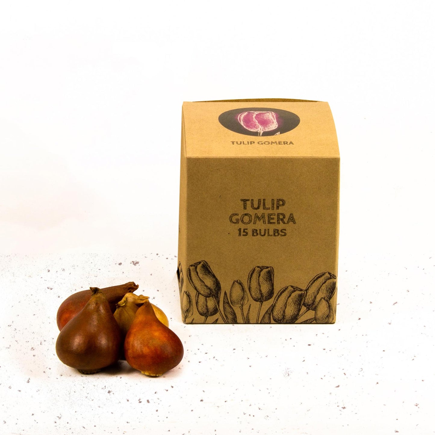 Flowerbulbs Amsterdam - Gomera - 15 flower bulbs - Size 12+