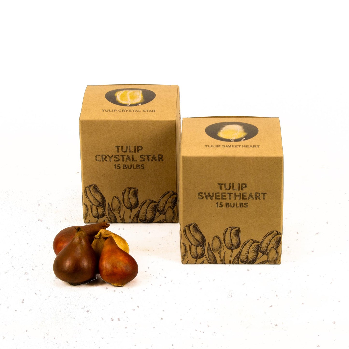 Flowerbulbs Amsterdam - Yellow Splash - 30 flower bulbs - Size 12+