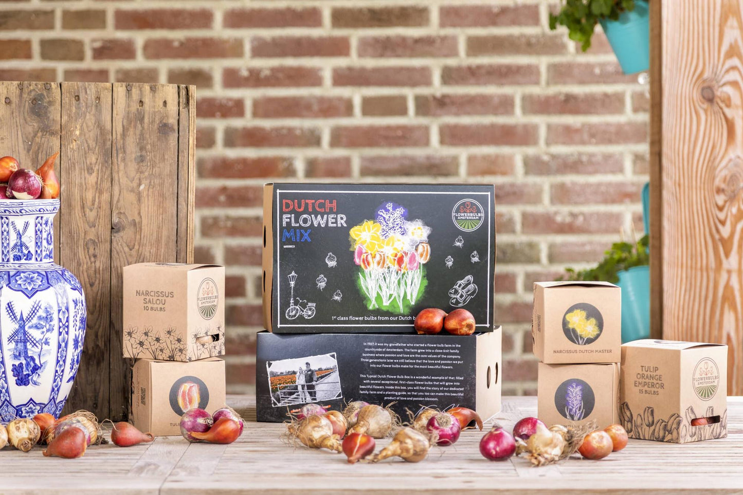 Flowerbulbs Amsterdam - Dutch Flower Mix - Luxury large box, 75 flower bulbs for 2 m² of floral splendor - Size 12+