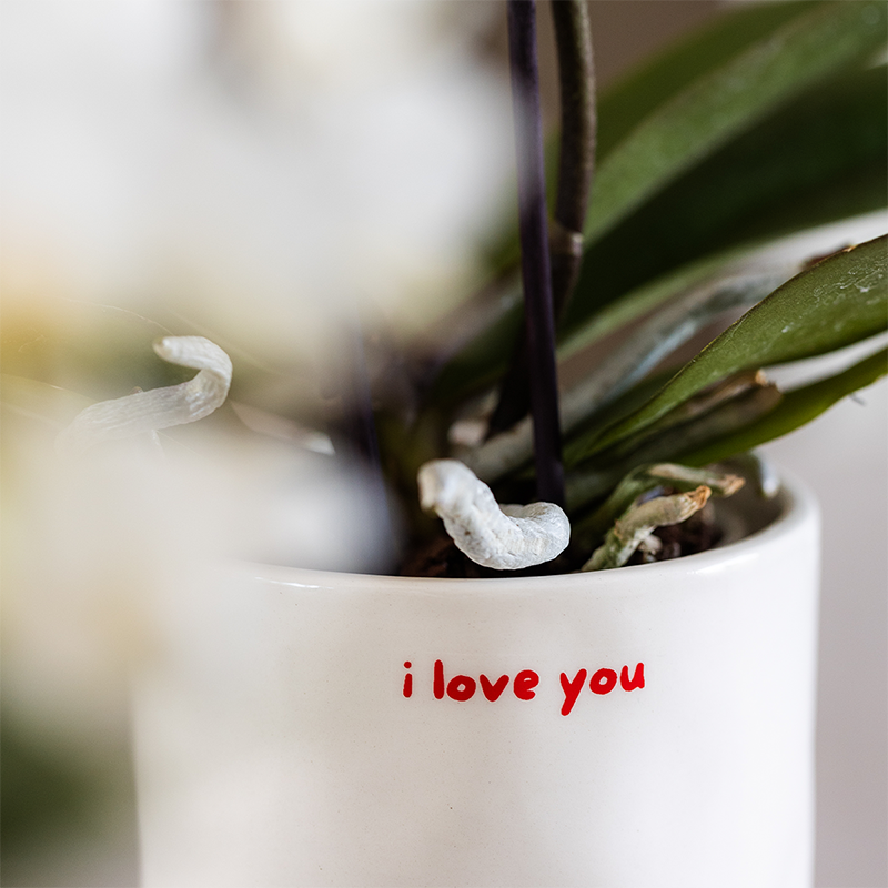 Hummingbird Home | I love you decorative pot - Ø9cm