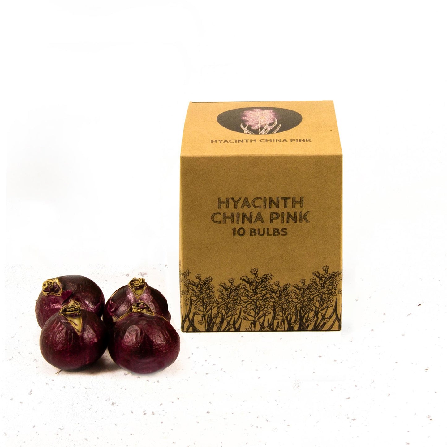 Flowerbulbs Amsterdam - China Pink - 10 flower bulbs - Size 14/15