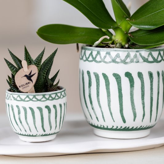 Hummingbird Home | Granada - Green - Ø6cm