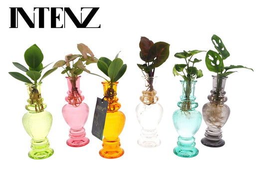 Houseplant Mix in Venice Glass - 6 pieces - Ø7cm - ↕20cm