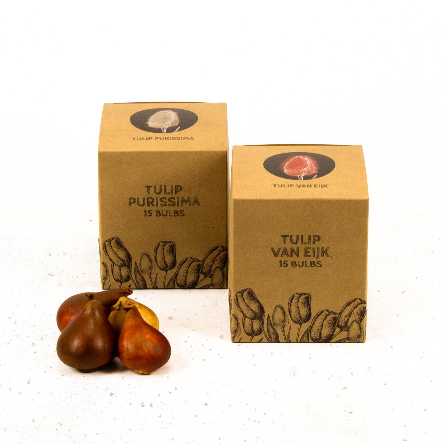 Flowerbulbs Amsterdam - Elly's Choice - 30 flower bulbs - Size 12+