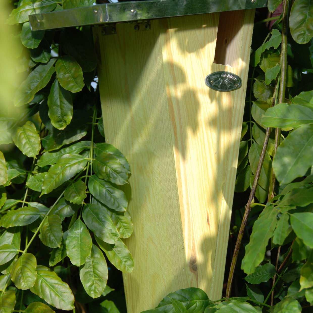 Baumläufer-Vogelhaus - Nistkasten - Gartentiere