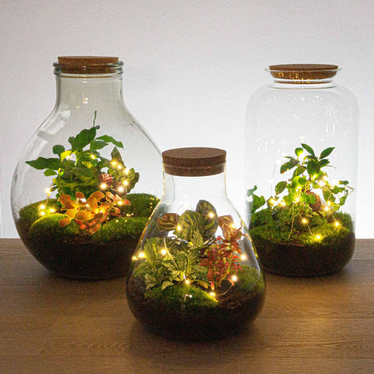 Battery operated string light - 1 meter - Warm white - 20 LED lights - Christmas