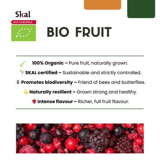 3 x organic raspberry plants - Ø 13 cm - ↨ 20 cm