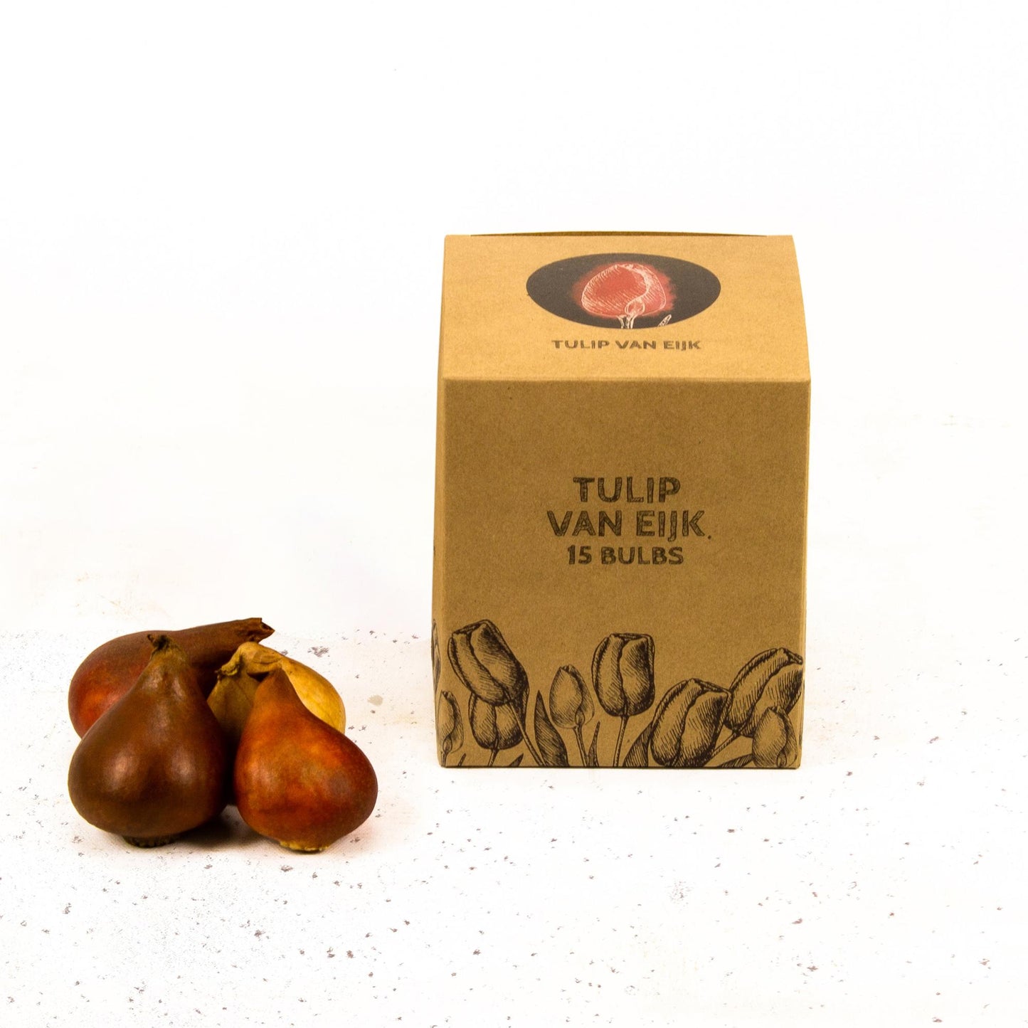 Flowerbulbs Amsterdam - Van Eijk - 15 flower bulbs - Size 12+