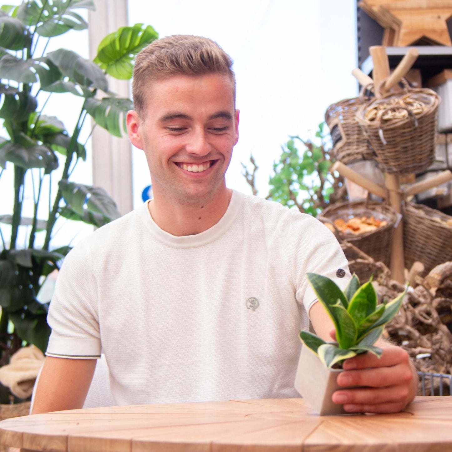 Congreet plant pots + Sansevieria | Happy birthday 