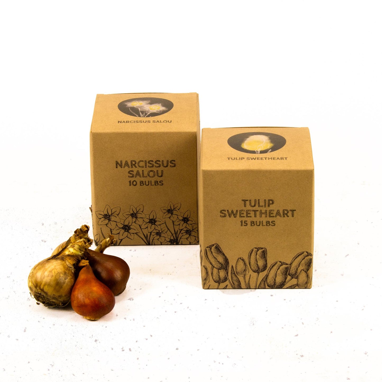 Flowerbulbs Amsterdam - Jacques Darlings - 25 flower bulbs - Size 12+