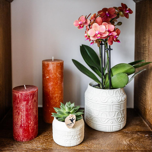 Hummingbird Home | Hieroglyph decorative pot - Off White - Ø9cm