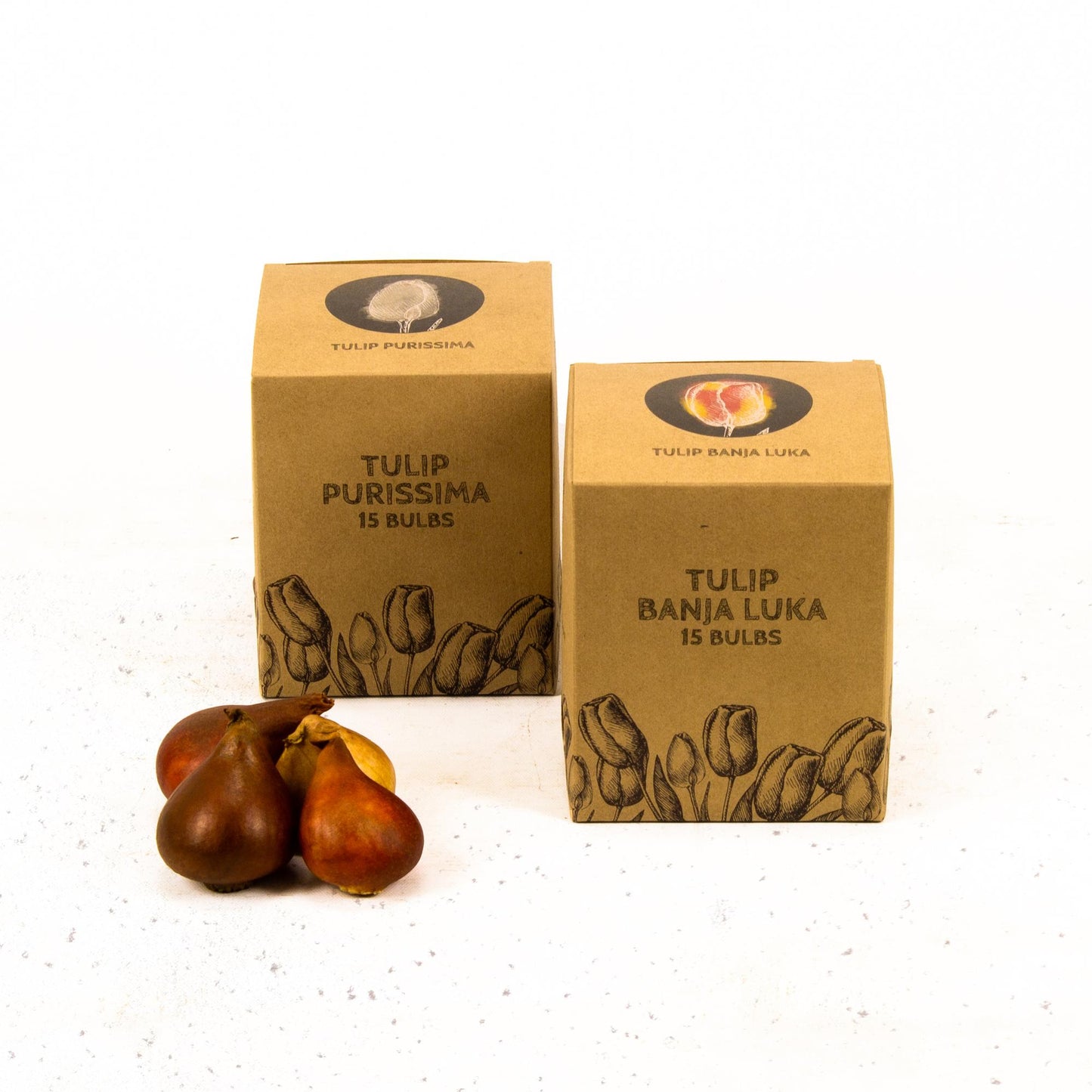 Flowerbulbs Amsterdam - Nadine's Happiness - 30 flower bulbs - Size 12+