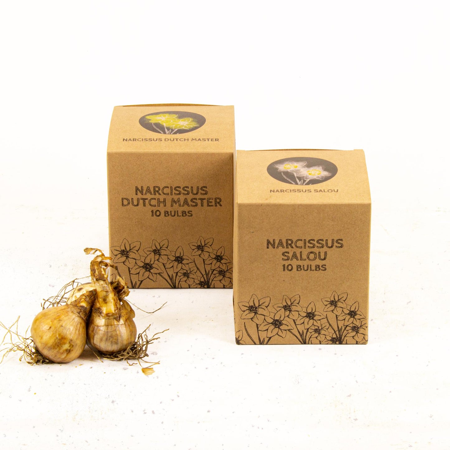 Flowerbulbs Amsterdam - Wild Beauties - 20 flower bulbs - Size 12/14