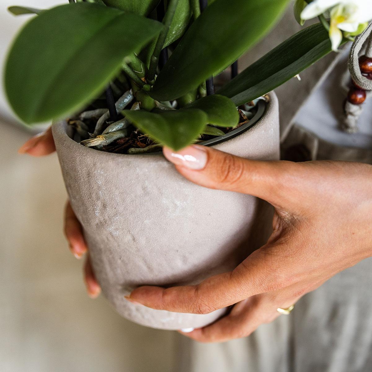 Hummingbird Home | Rustic decorative pot - Sand - Ø9cm