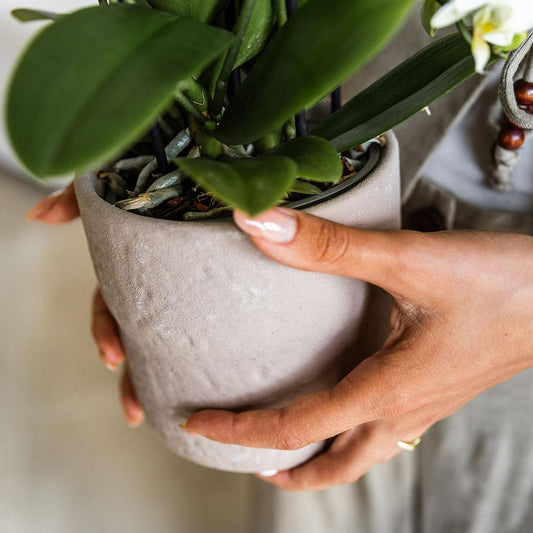 Hummingbird Home | Rustic decorative pot - Sand - Ø9cm