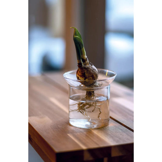 Propagation vase M - Ø 9 cm ↕ 11.5 cm