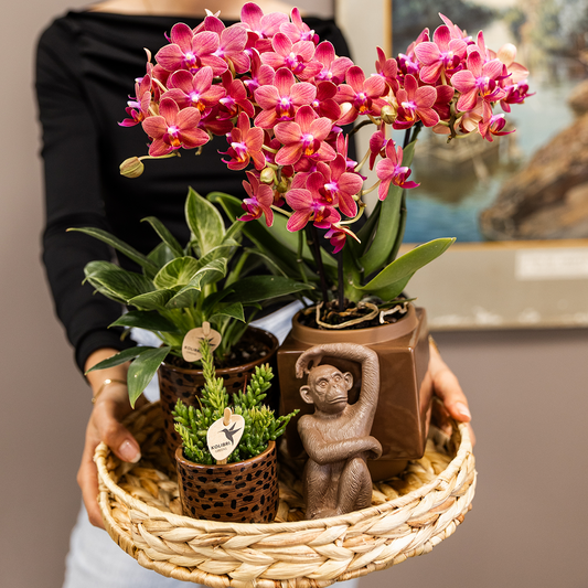 Hummingbird Home | Leopard decorative pot - Ø9cm