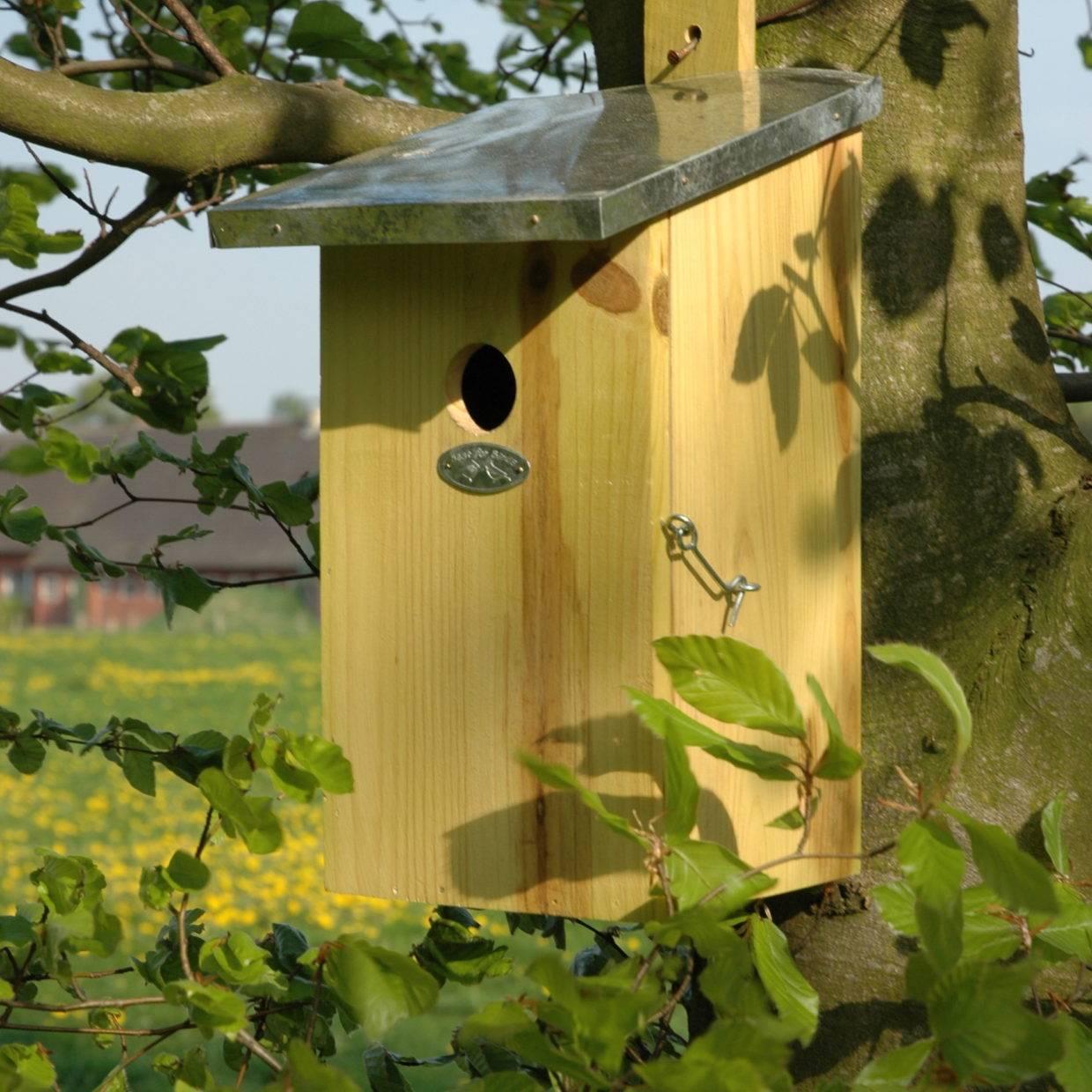 Beobachtungsnistkasten - Vogelhaus - Vögel und Gartentiere