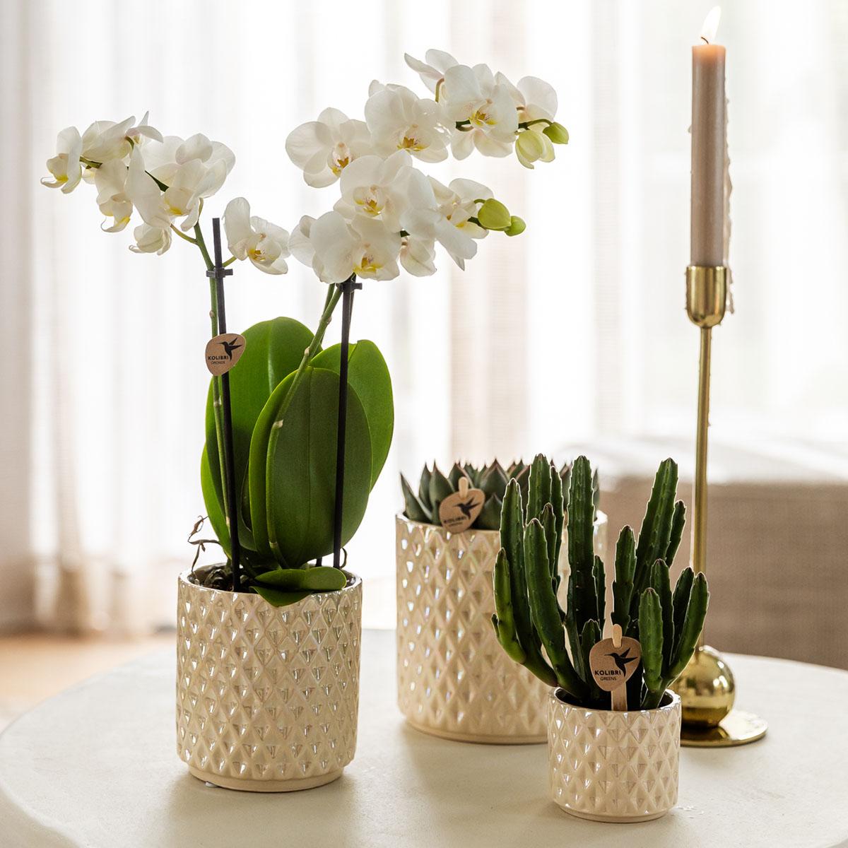 Hummingbird Home | Diamond pearl decorative pot - Travertine - Ø9cm