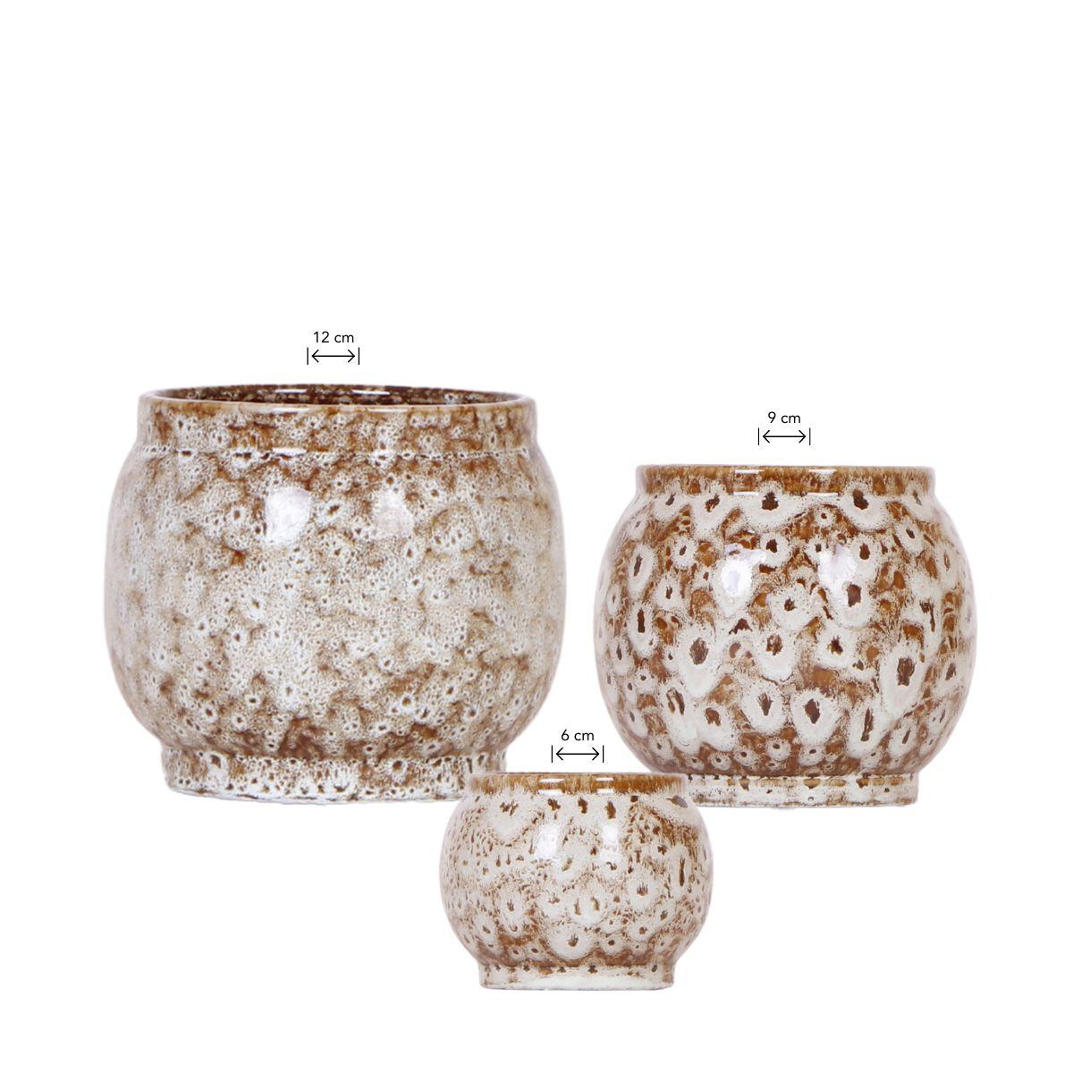 Kolibri Home | Combi deal - Safari pots