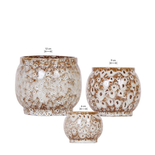 Kolibri Home | Combi deal - Safari pots