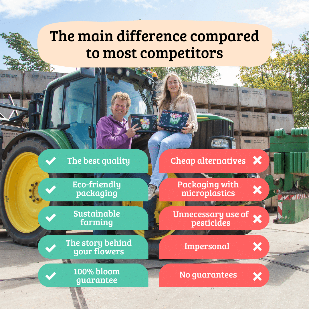 Flowerbulbs Amsterdam - Medium Tulip Mix - Sustainable value bag, 50 flower bulbs for 1 m² of floral splendor - Size 12+ 