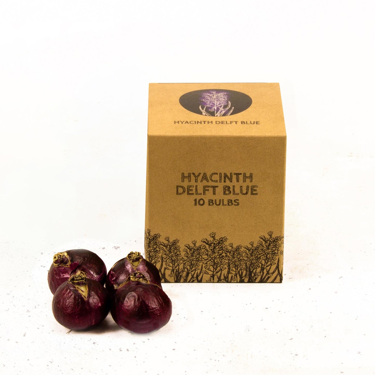 Flowerbulbs Amsterdam - Delft Blue - 10 flower bulbs - Size 14/15