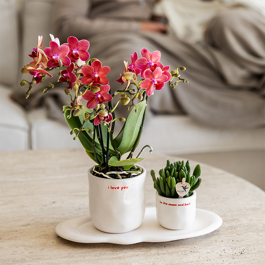 Hummingbird Home | I love you decorative pot - Ø9cm