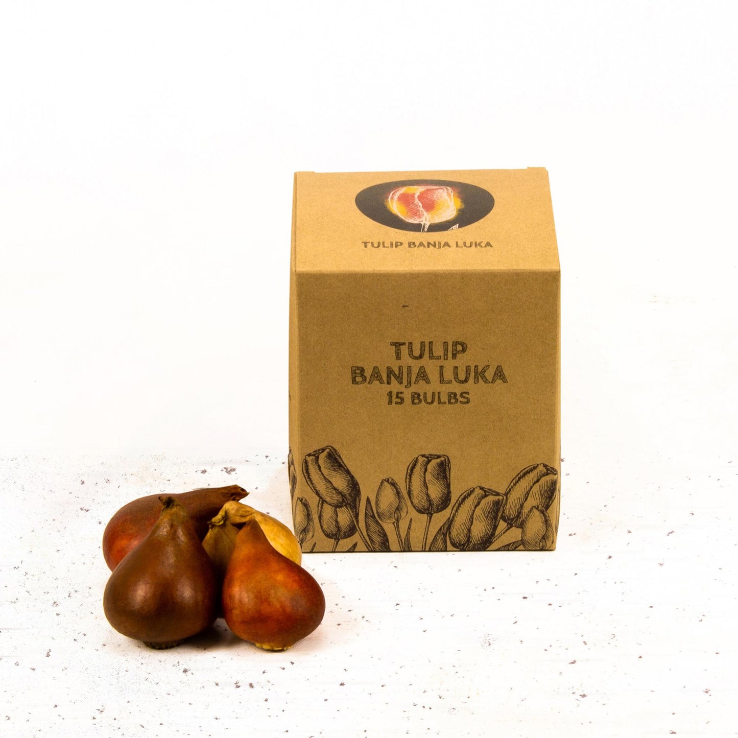 Flowerbulbs Amsterdam - Banja Luka - 15 flower bulbs - Size 12+