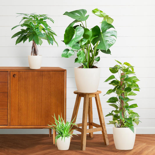Easy care Plant box - medium - with vibers pot white