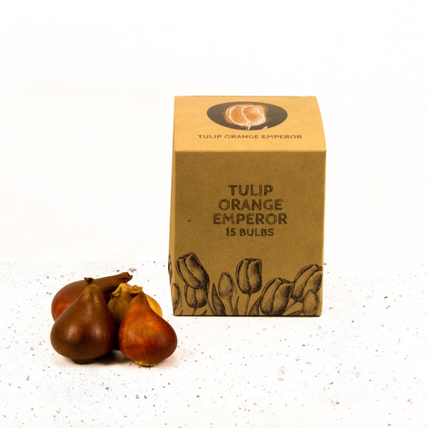 Flowerbulbs Amsterdam - Orange Emperor - 15 flower bulbs - Size 12+