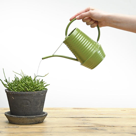 Flower watering can - Zinc - 1 liter - Green
