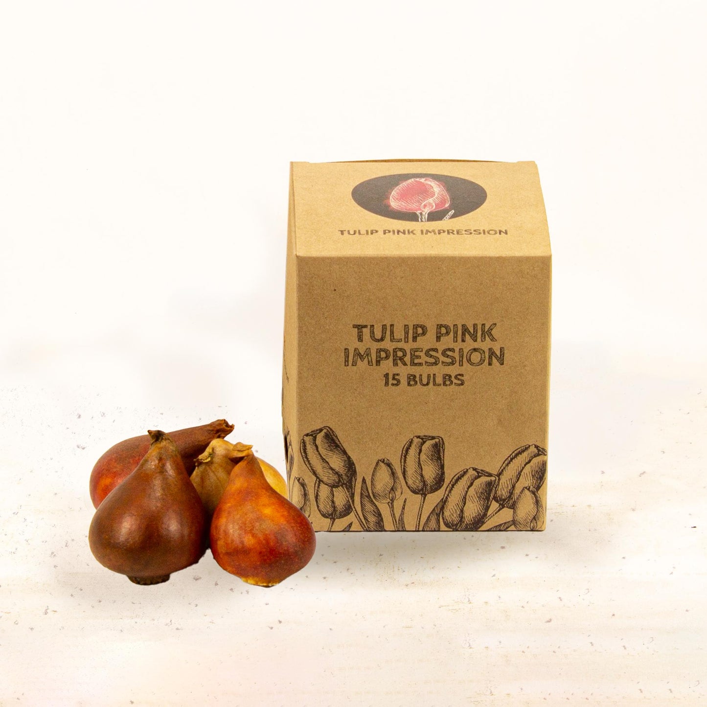 Flowerbulbs Amsterdam - Pink Impression - 15 flower bulbs - Size 12+