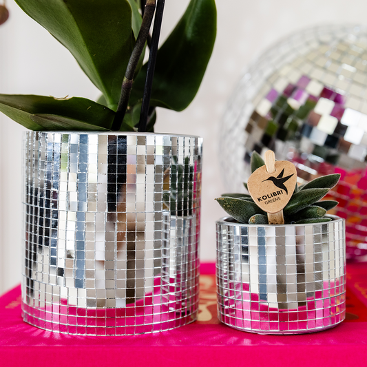 Hummingbird Home | Disco decorative pot - Ø9cm